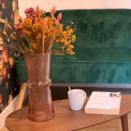 Apartamento Le Rosegarden Au Pied De La Gare De *